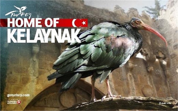 Türkiye'nin 2014 tanıtım afişleri!