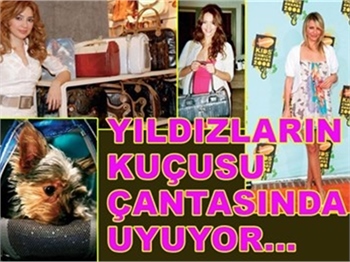 ÇANTADAKİ KUÇULAR!