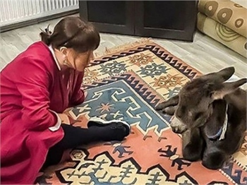 Sezen Aksu, sıpasını yalısına aldı!