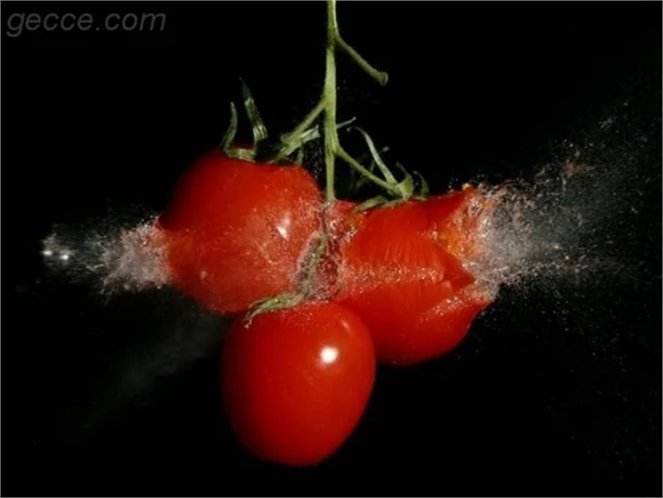 ZAMANI DONDURMAK!
