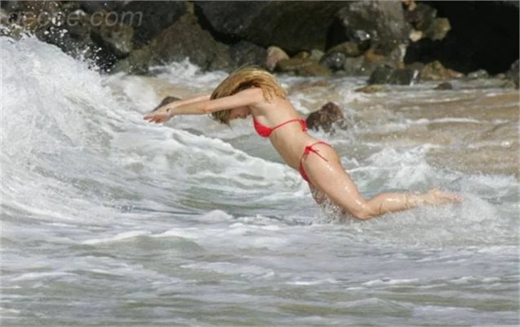 NICOLETTE SHERIDAN
