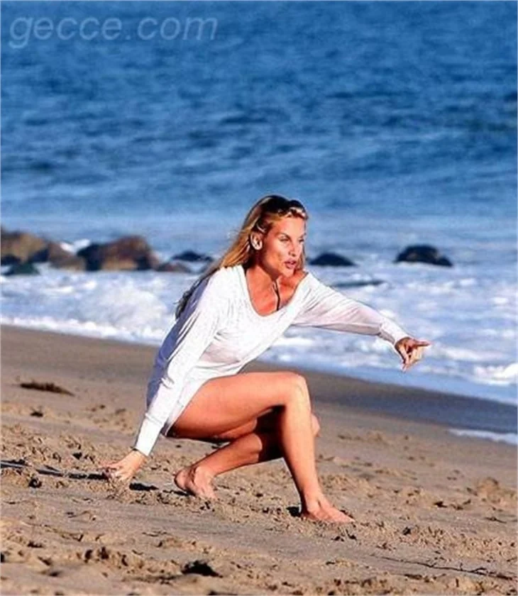 NICOLETTE SHERIDAN