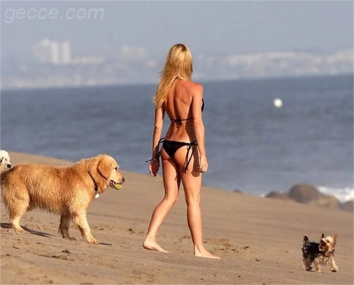 NICOLETTE SHERIDAN