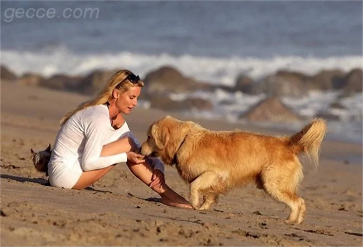 NICOLETTE SHERIDAN