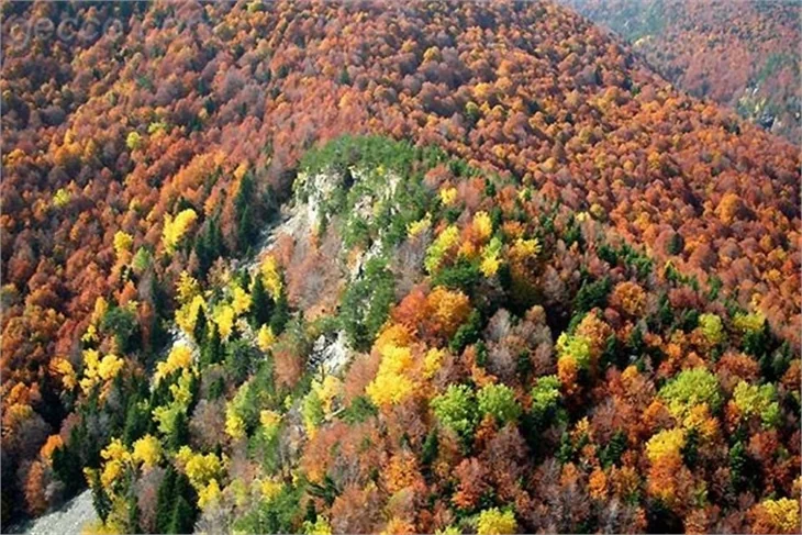 SONBAHARDAN KALANLAR