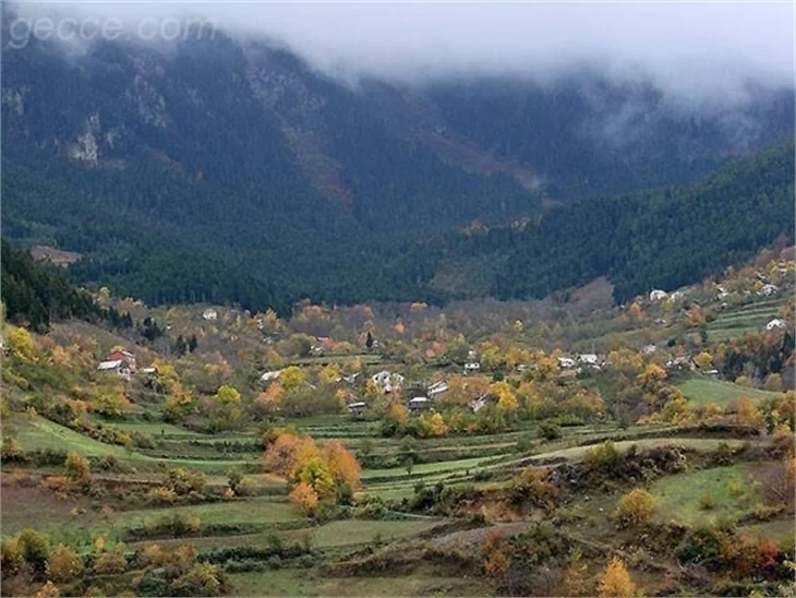 SONBAHARDAN KALANLAR