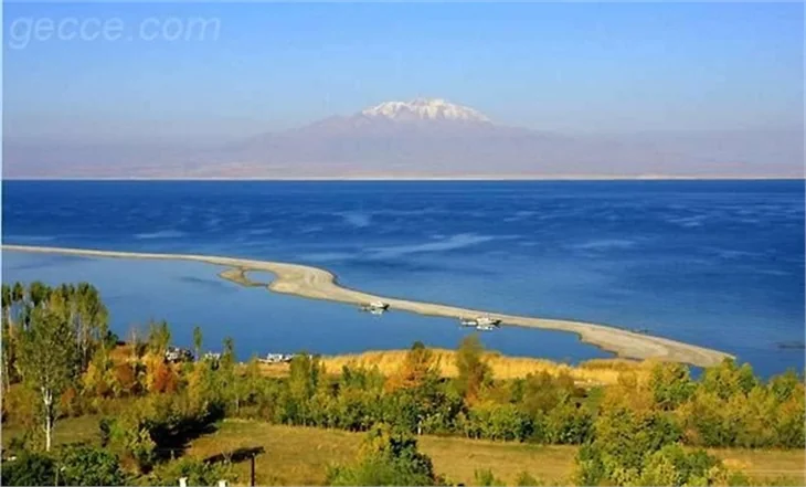SONBAHARDAN KALANLAR