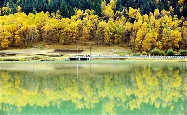 SONBAHARDAN KALANLAR