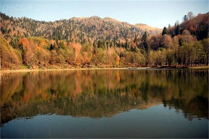 SONBAHARDAN KALANLAR