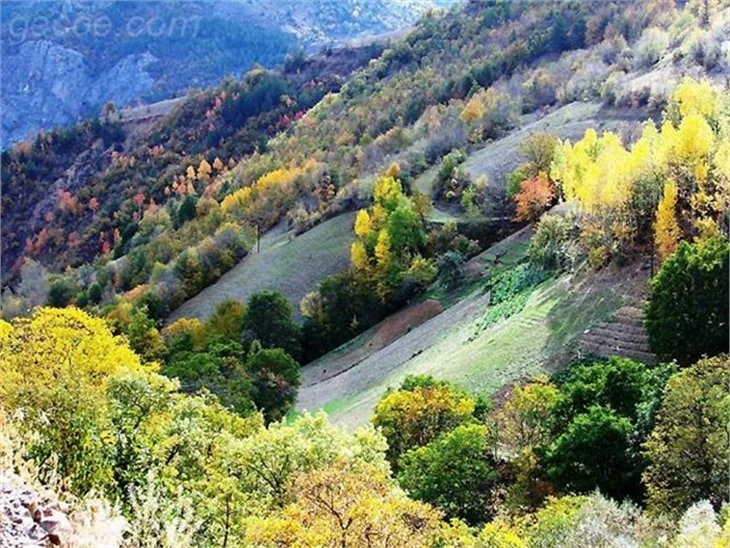 SONBAHARDAN KALANLAR