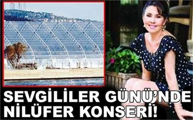 SEVGİLİLER GÜNÜ'NDE NİLÜFER KONSERİ