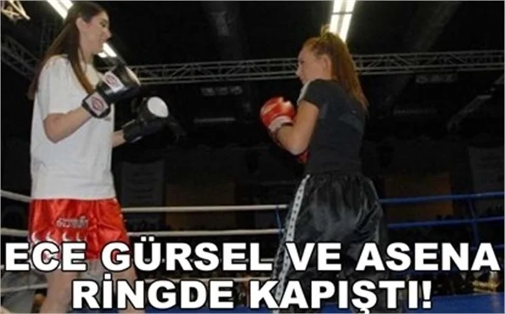 ASENA VE ECE GÜRSEL RİNGDE KAPIŞTI!