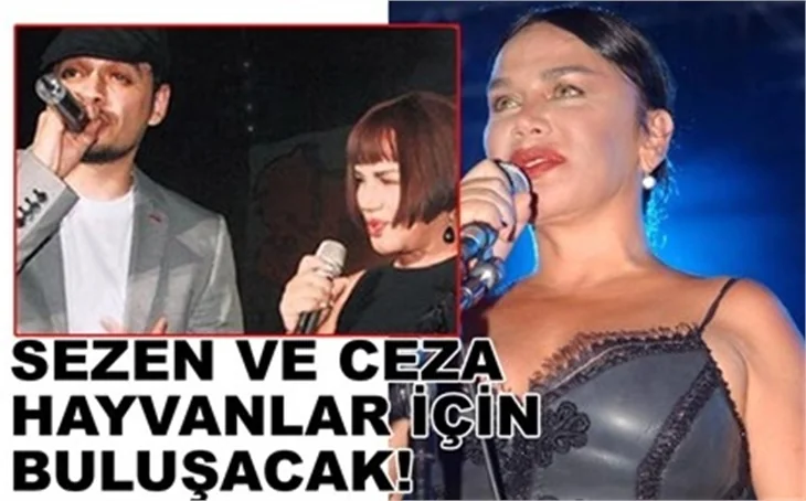 HAYVANLAR İÇİN BULUŞACAKLAR!