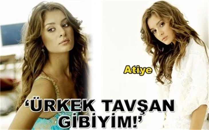ÜRKEK TAVŞAN GİBİYİM’