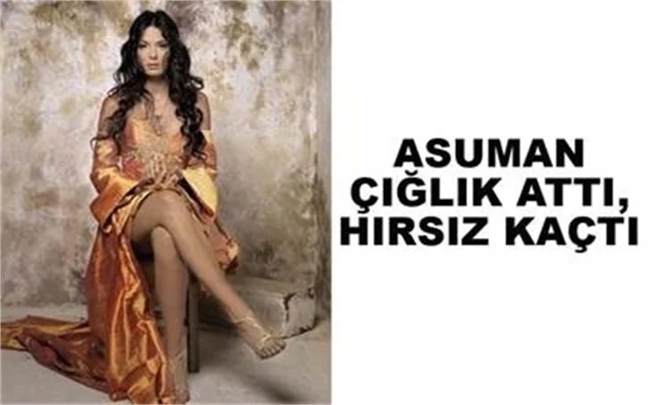 ASUMAN KRAUSE'NİN ÇIĞLIĞI HIRSIZI KAÇIRDI!