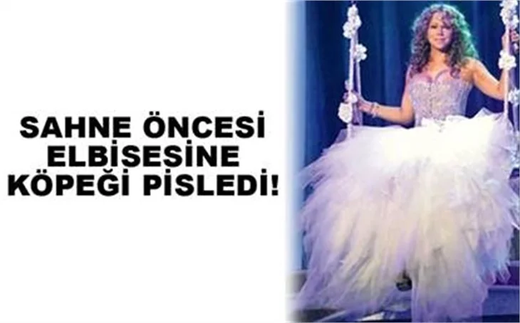 ELBİSESİNE KÖPEĞİ PİSLEDİ