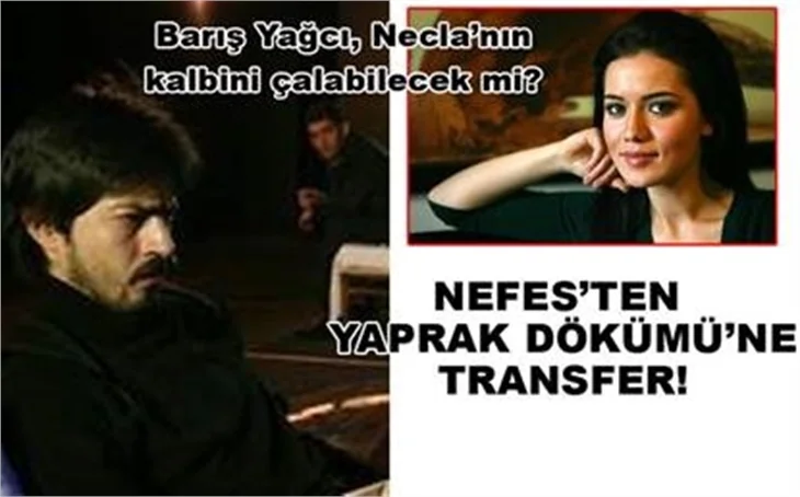 NEFES'TEN YAPRAK DÖKÜMÜ'NE TRANSFER