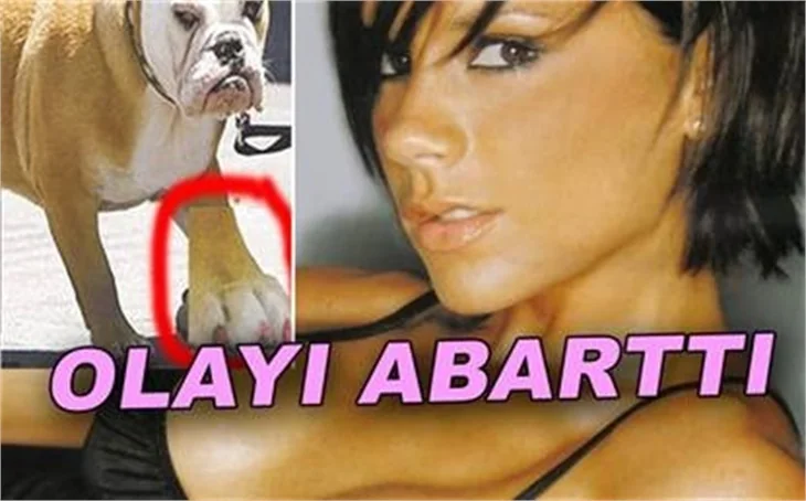 VICTORIA BECKHAM OJE SÜRDÜ