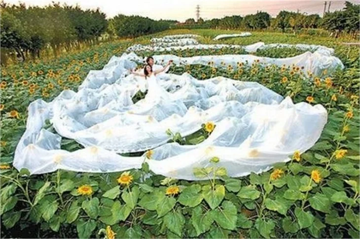 En çılgınca gelinlik modelleri...