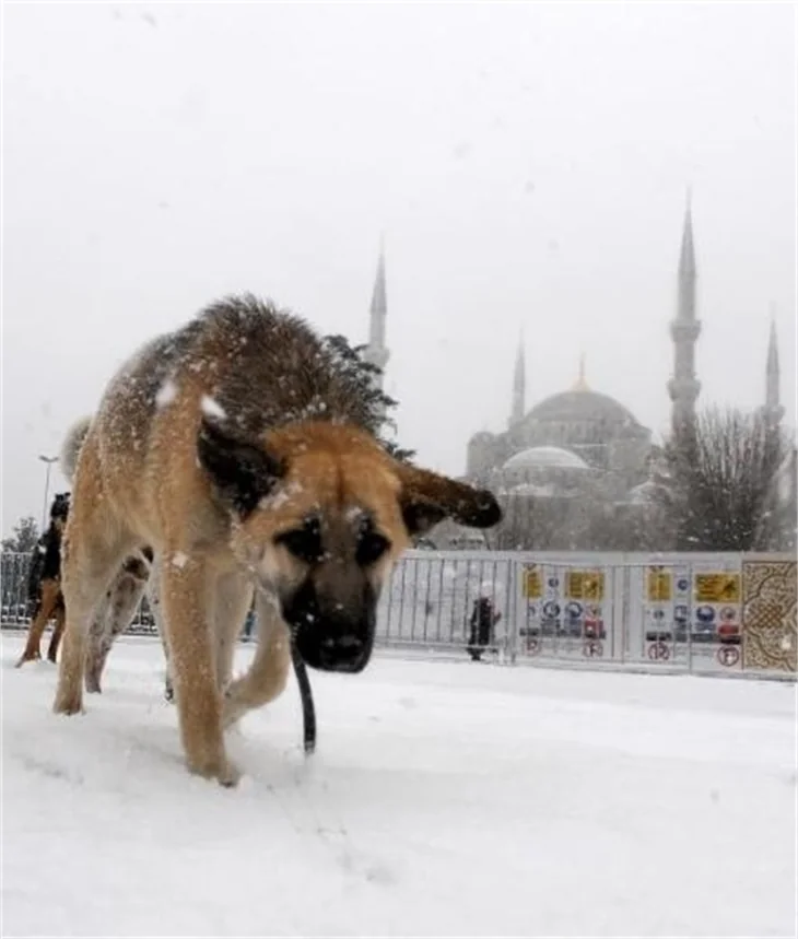 İstanbul'dan kar manzaraları..