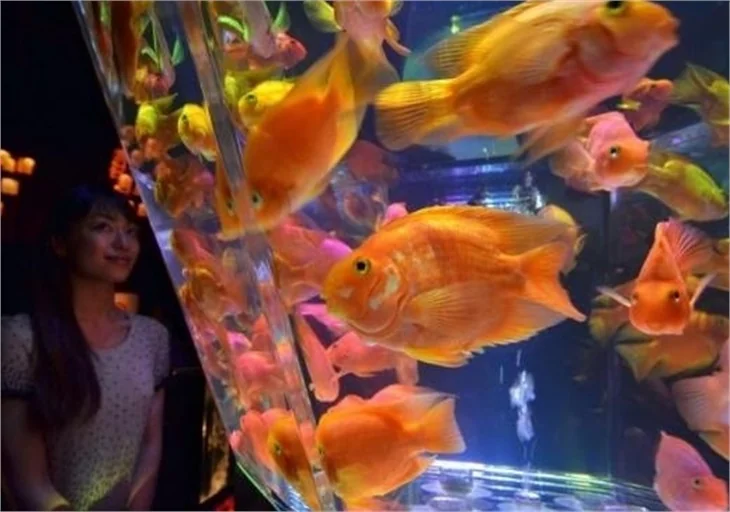 Haftanın unutulmaz fotoğrafları...