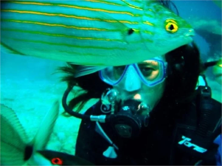 Bayram'da Bodrum'u seçenler pişman olmadı