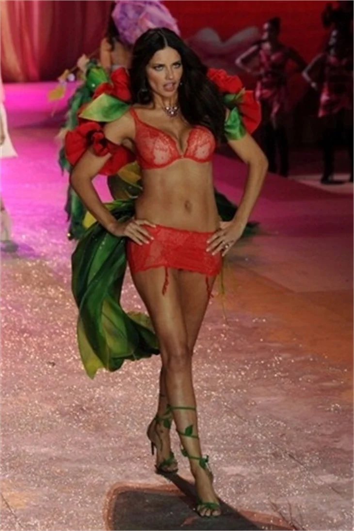 Victoria's Secret 2012 defilesi nefesleri kesti..