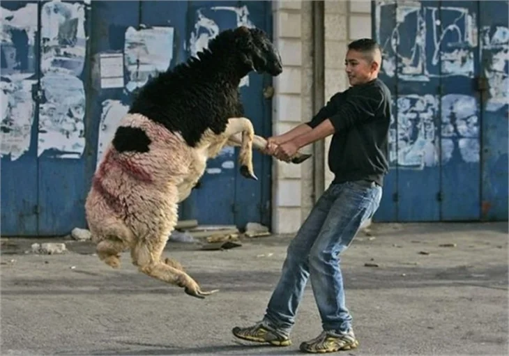 Bakmadan geçmediğiniz fotoğraflar