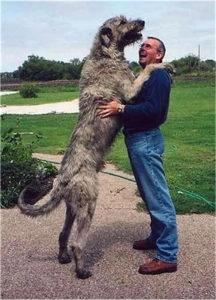 Sosyal medyada beğeni alan fotoğraflar...