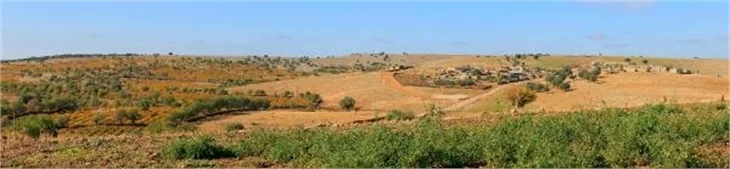 Mardin Mazıdağı'nda sincapların kış hazırlığı