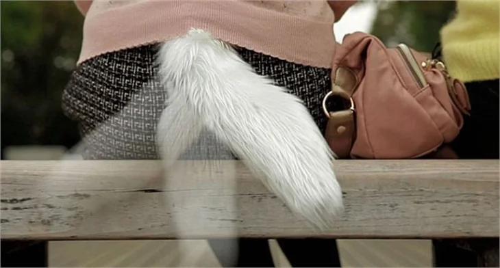 Garip ama gerçek haberler!