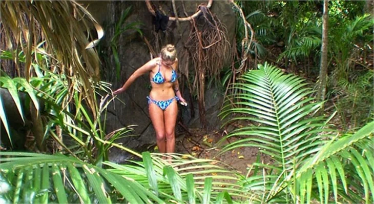 Çakma Kate Upton; Helen Flanagan..