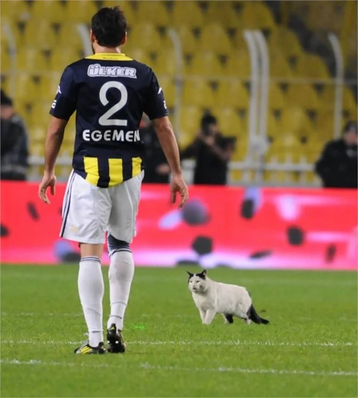Fenerbahçe 3 kulvarda birden ilerliyor