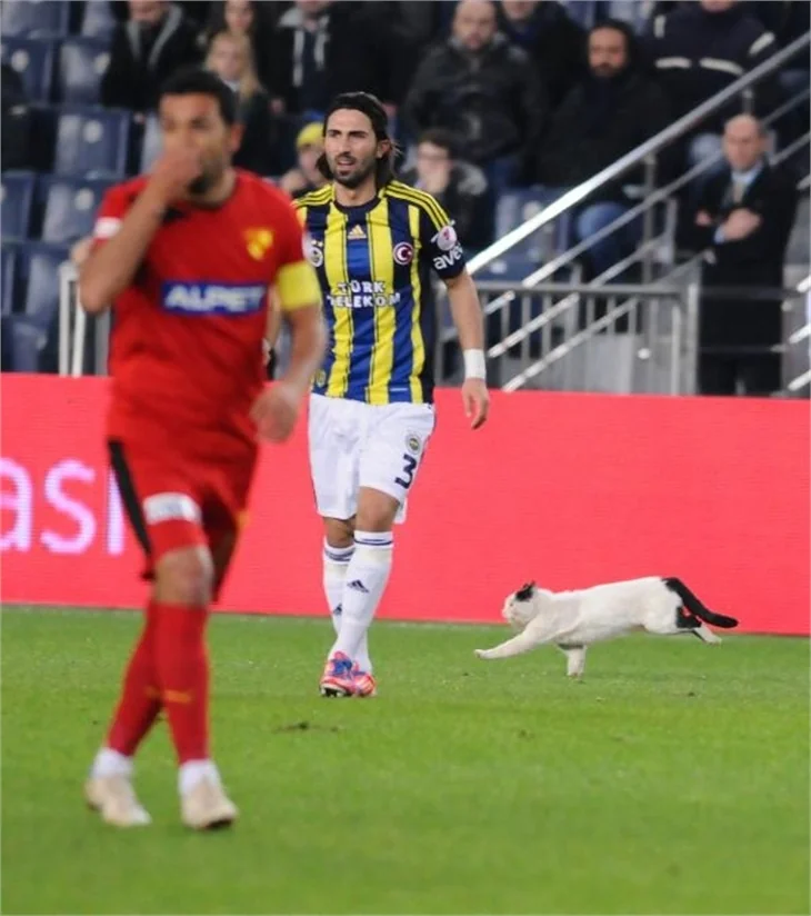Fenerbahçe 3 kulvarda birden ilerliyor