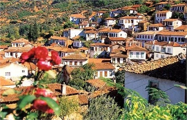 Aslı, 2013'ün kehanetlerini İzzet Çapa'ya anlattı!