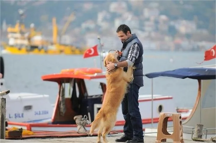 İntikam dizisi bu akşam ekranlarda!