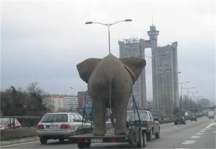 Haftanın ilginç fotoğrafları!