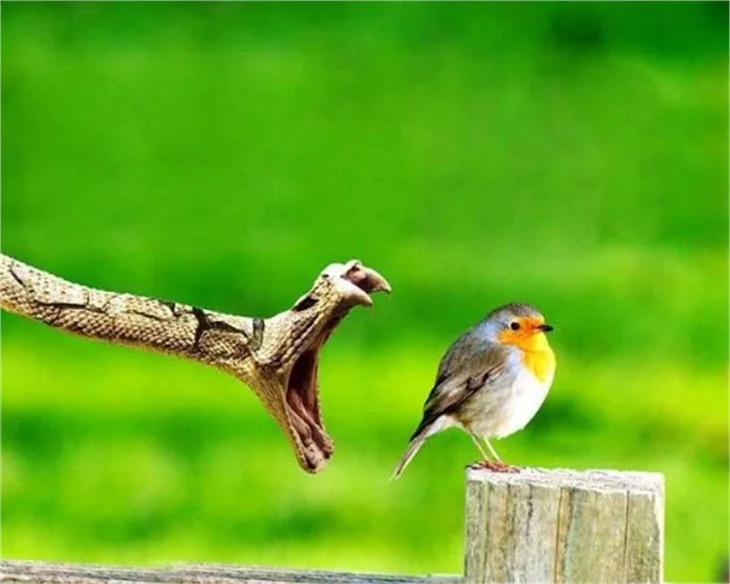 Haftanın ilginç fotoğrafları!