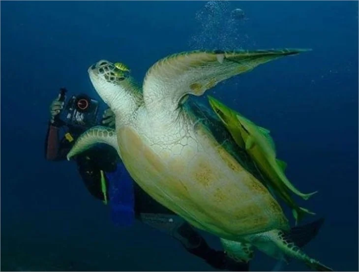 Haftanın ilginç fotoğrafları!