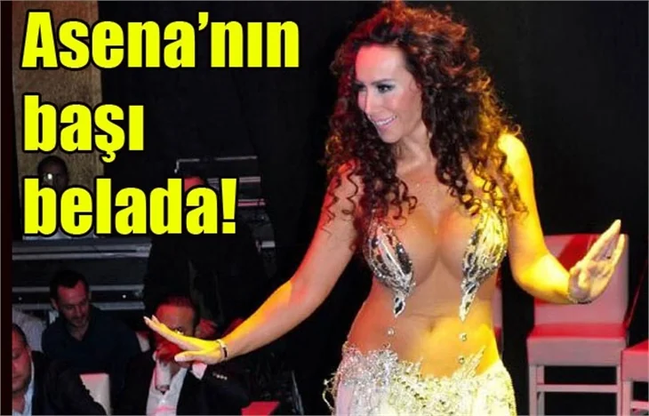 Asena adına web sitesi kurarak piyasayı dolandırdılar