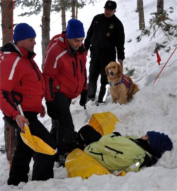 Palandöken, Gurbet'le Büyük'e emanet