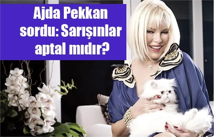 Ajda Pekkan sordu: Sarışınlar aptal mıdır?