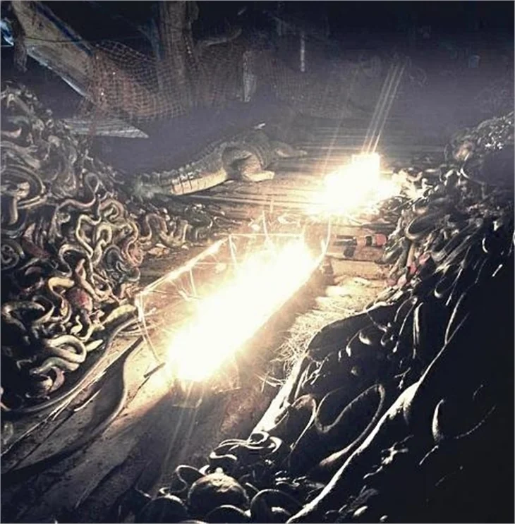 İzzet Çapa'nın Darren Aronofsky röportajı!