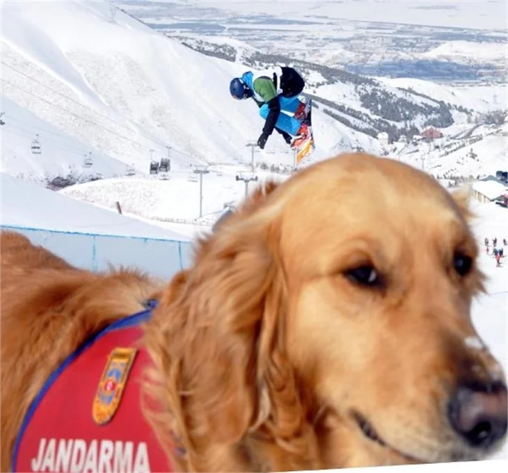 Jandarma Gurbet'in snowboard merakı