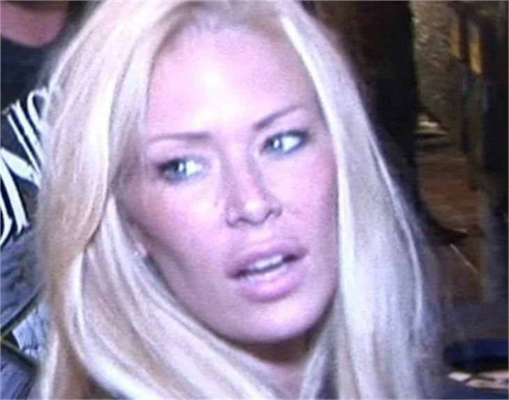 Jenna Jameson gözaltına alındı!