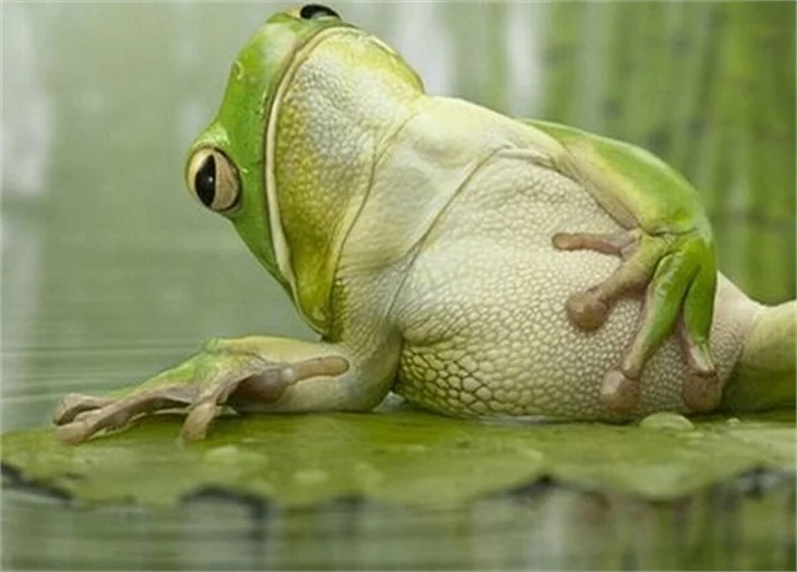Güldüren fotoğraflar!