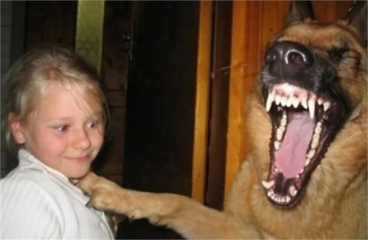 Güldüren fotoğraflar!