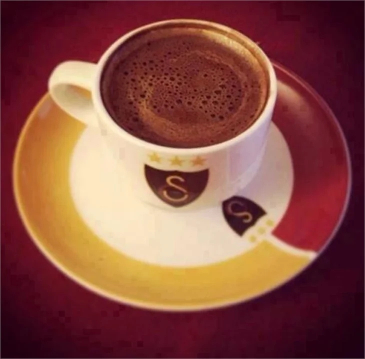 Çılgın taraftar