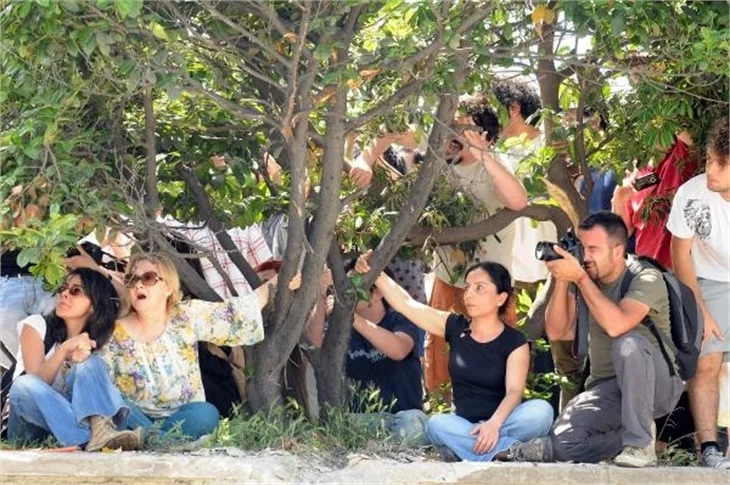 Taksim Gezi Parkı'nda eylemcilere biber gazı