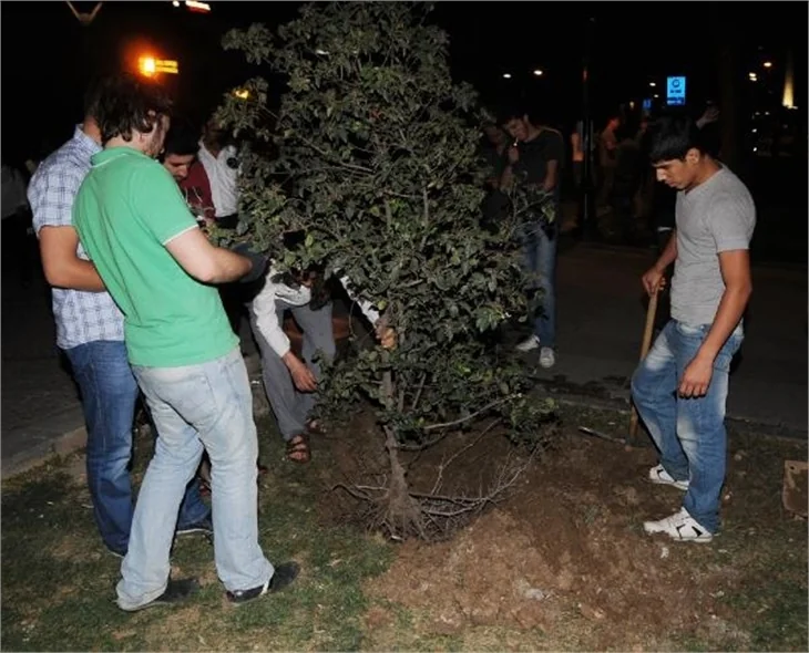 Taksim Gezi Parkı'na "Şafak Baskını!.."